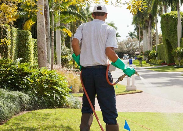 About Miranda CA Pest Control